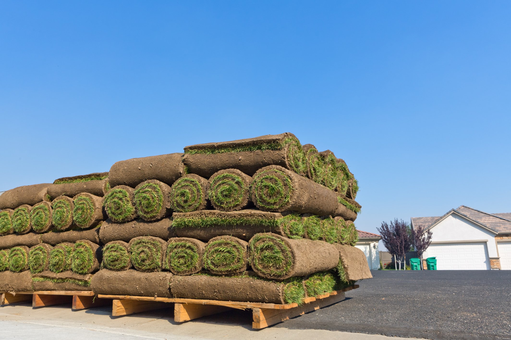 sod rolls